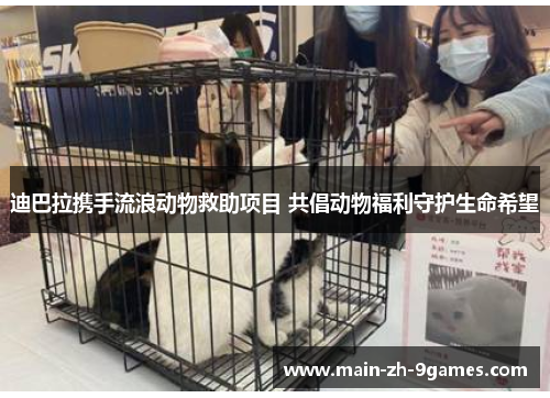 迪巴拉携手流浪动物救助项目 共倡动物福利守护生命希望