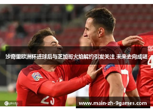 沙奇里欧洲杯进球后与芝加哥火焰解约引发关注 未来去向成谜