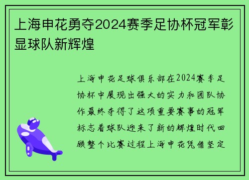上海申花勇夺2024赛季足协杯冠军彰显球队新辉煌